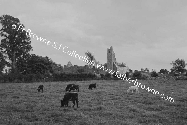 DESMOND CASTLE AND FRANCISCAN FRIARY